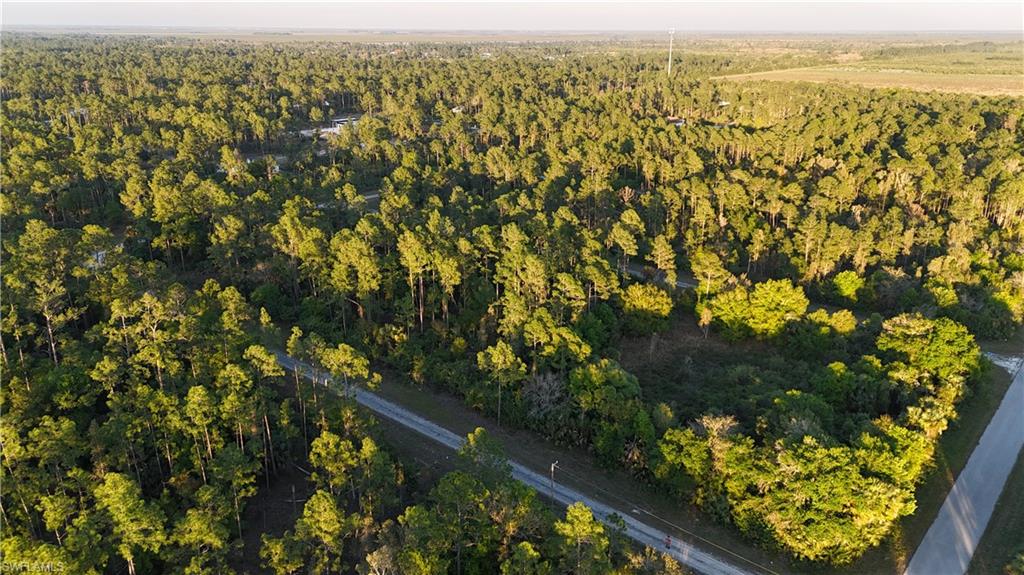 LEHIGH ACRES - Land