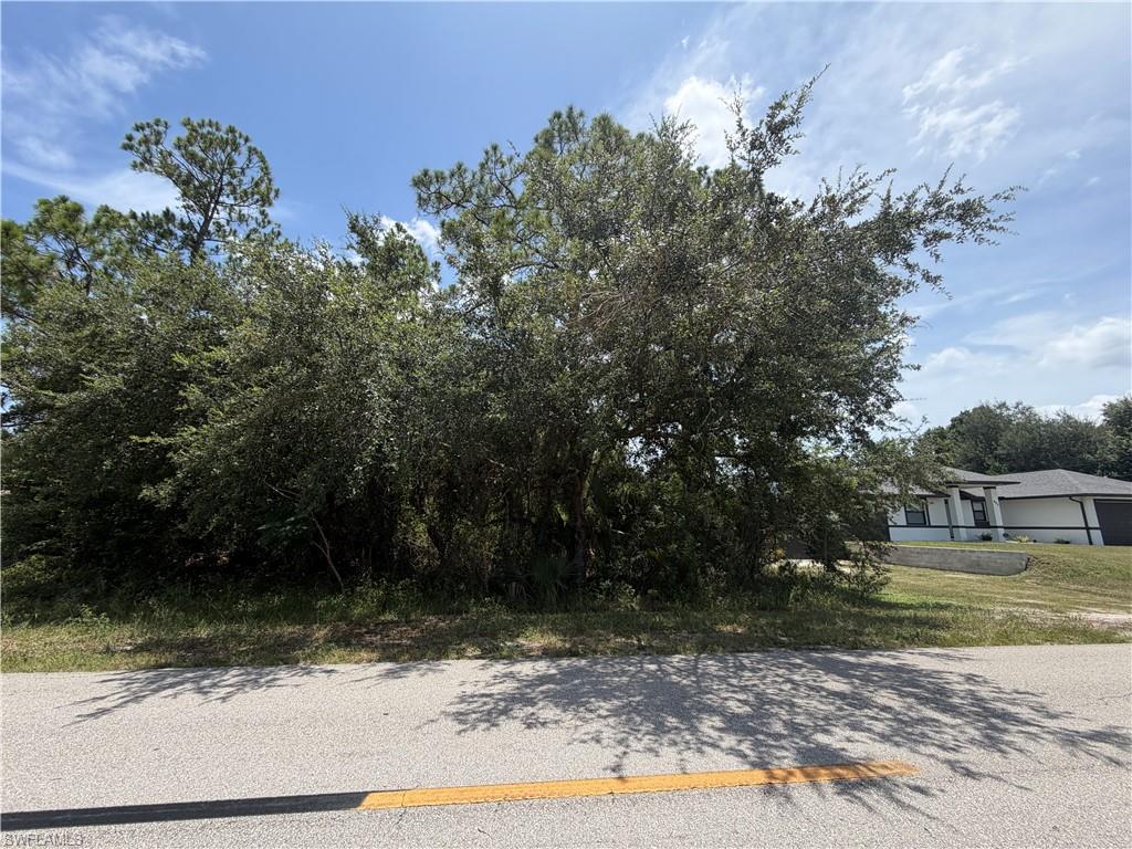 LEHIGH ACRES - Land