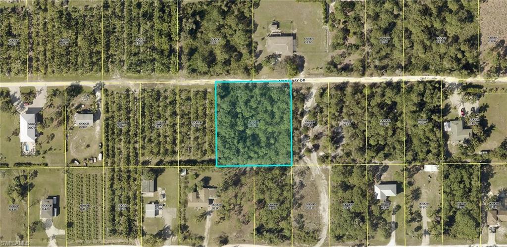 KREAMERS AVOCADO SUBD - Land