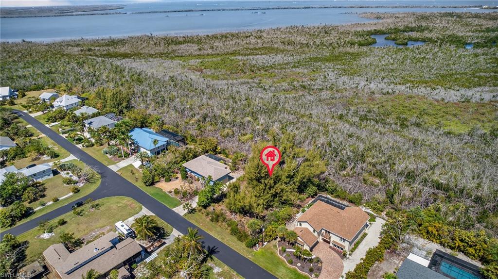 GUMBO LIMBO - Land