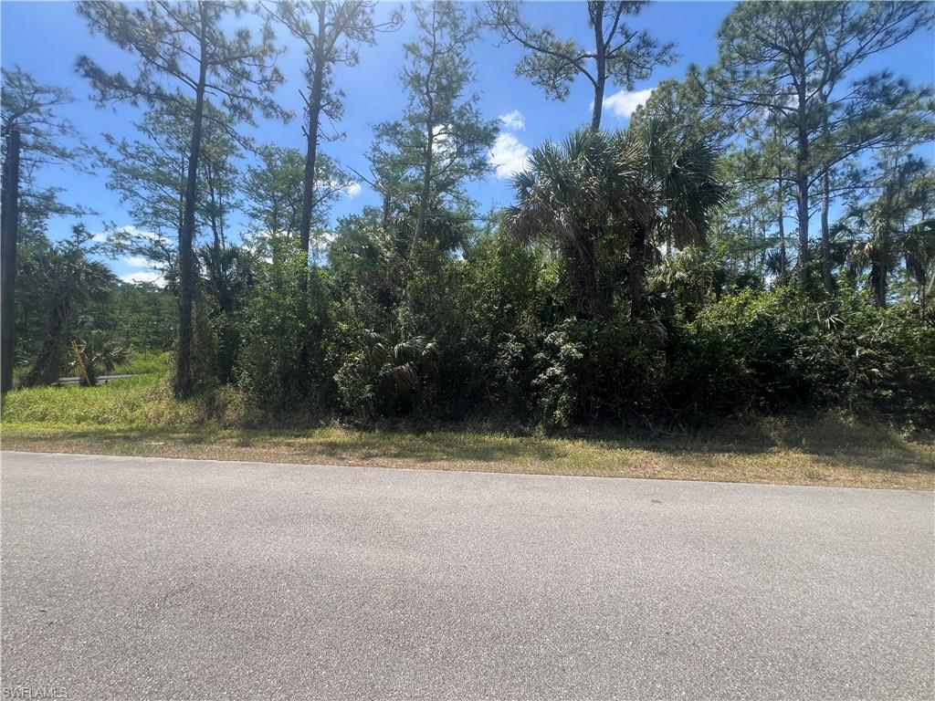 Build your dream home on this exceptional 1.14-acre homesite in a highly desirable Naples location! Offering plenty of space and privacy, this oversized lot provides the perfect opportunity to create the custom home you've always envisioned. Conveniently located near the Collier County Fairgrounds, Corkscrew Sanctuary, Big Corkscrew Island Park, shopping, dining, and everyday conveniences, you'll enjoy the ideal blend of peaceful country living with easy access to modern amenities. Whether you're looking to build now or invest for the future, this prime parcel offers endless possibilities in one of Southwest Florida's most sought-after areas. Don't miss your chance to own over an acre in beautiful Naples!