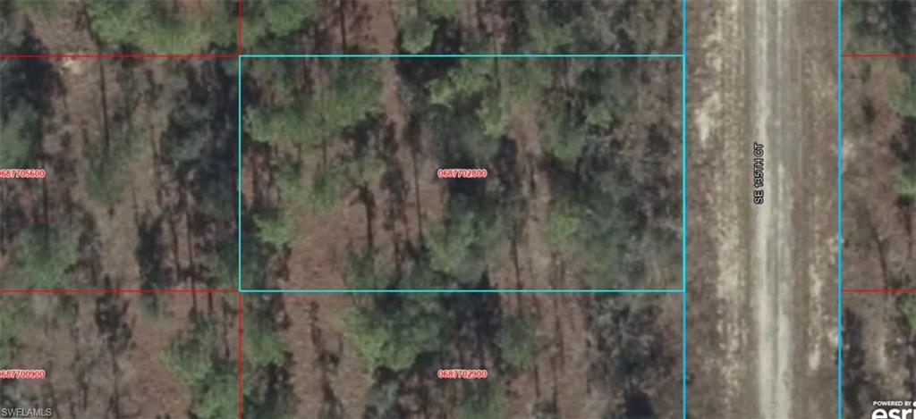 A VACANT LOT IN WILLISTON IN LEVY COUNTY!!!