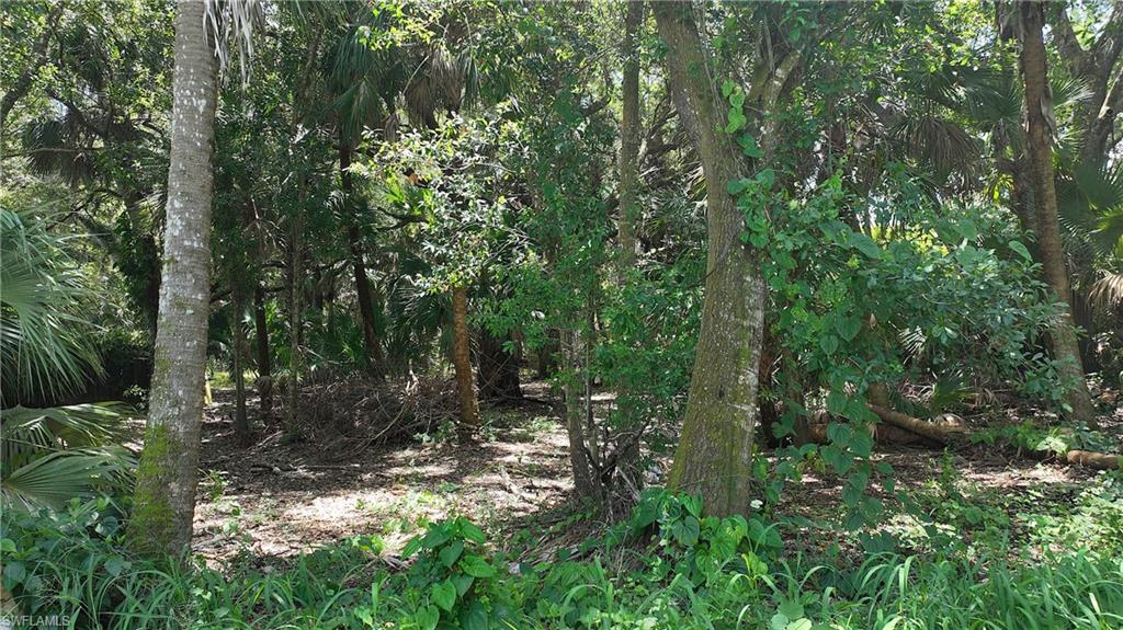 LEHIGH ACRES - Land