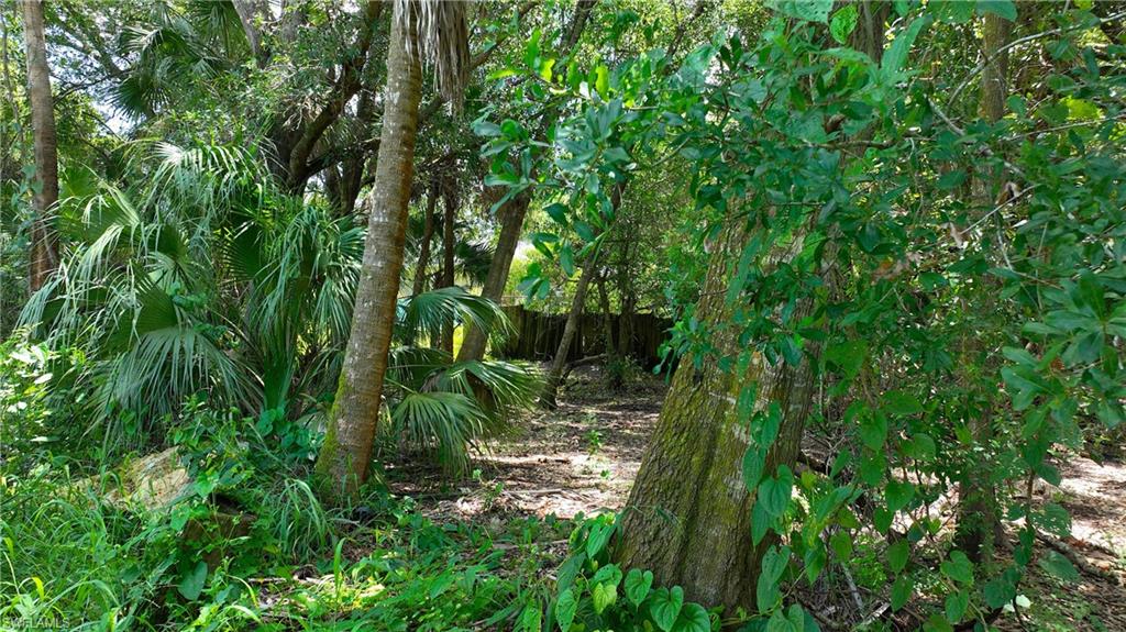 LEHIGH ACRES - Land