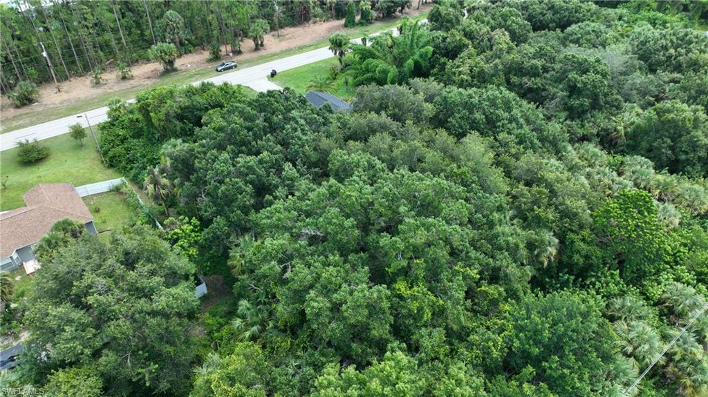 LEHIGH ACRES - Land