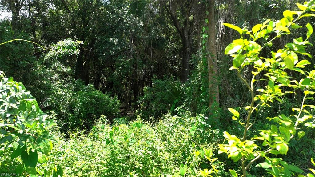 LEHIGH ACRES - Land