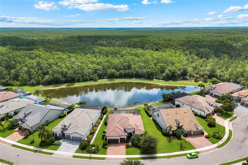CORKSCREW SHORES - Residential