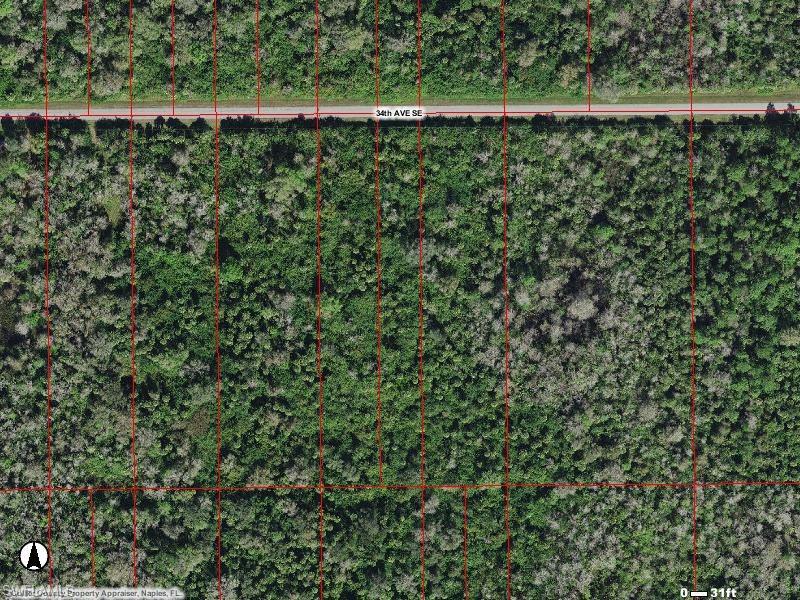 NO DEP AVAILABLE, the area looks wet land.