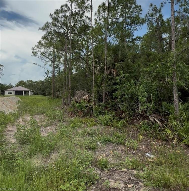 LEHIGH ACRES - Land
