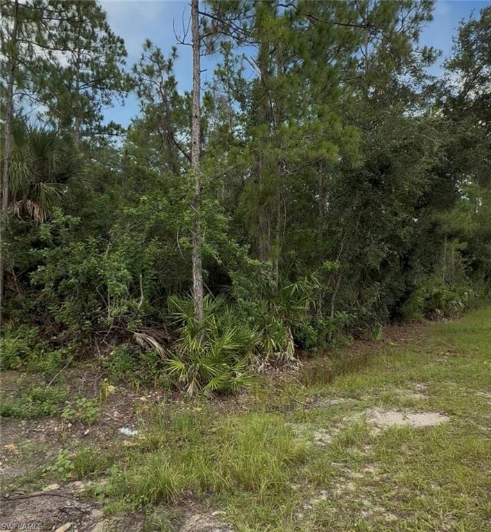 LEHIGH ACRES - Land