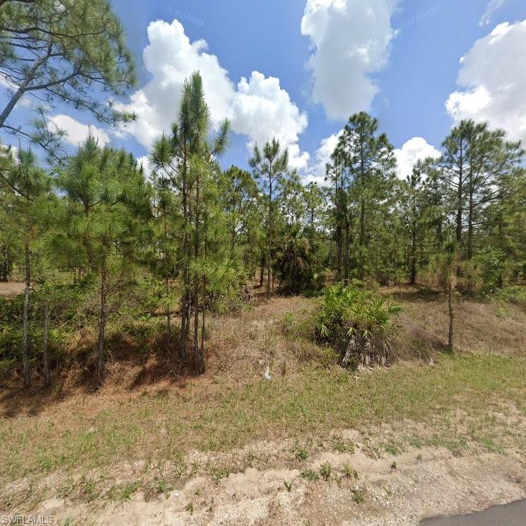 Great investment opportunity or site for your dream home in growing Lehigh Acres! This half-acre residential lot sits on a paved street with power lines running right in front of the property. Utility lines including high-speed cable and phone service are actively being installed along the block, and new home construction is underway nearby. The next lot to the side,  half-acre lot (1218 Canton Ave) is also available for purchase—buy one or buy both for a full 1-acre parcel! Convenient location with quick access to local schools, dining, and main roads. Bring your own builder or buy and hold!