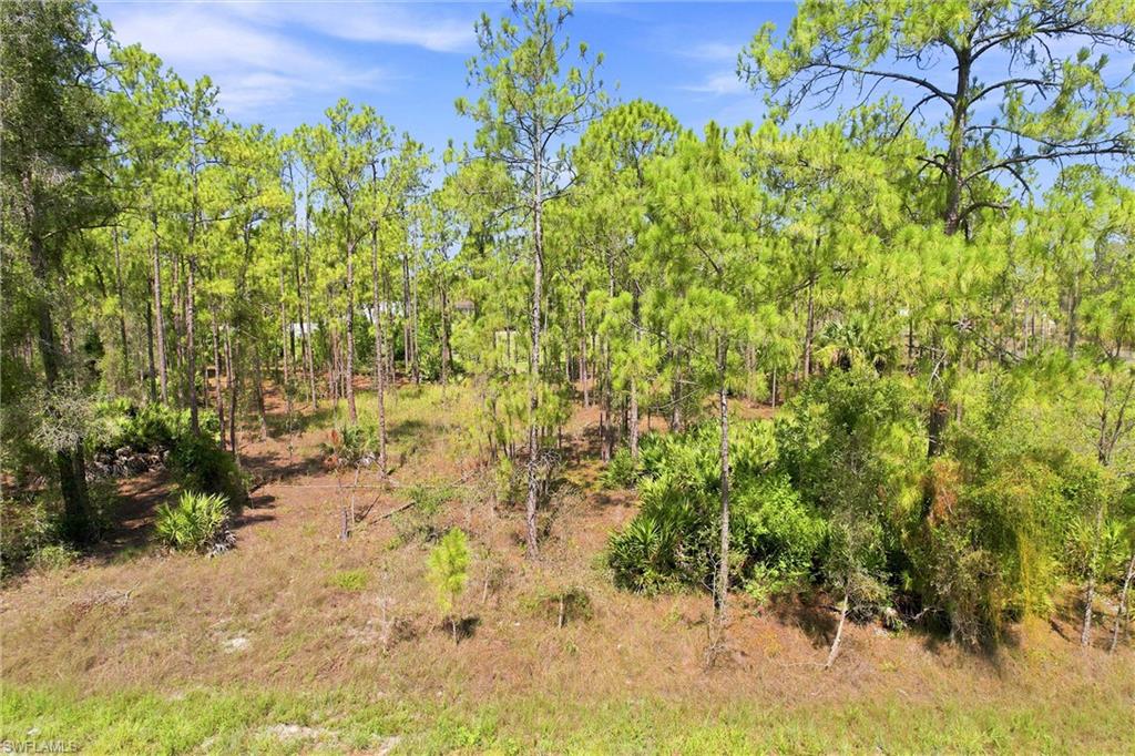LEHIGH ACRES - Land