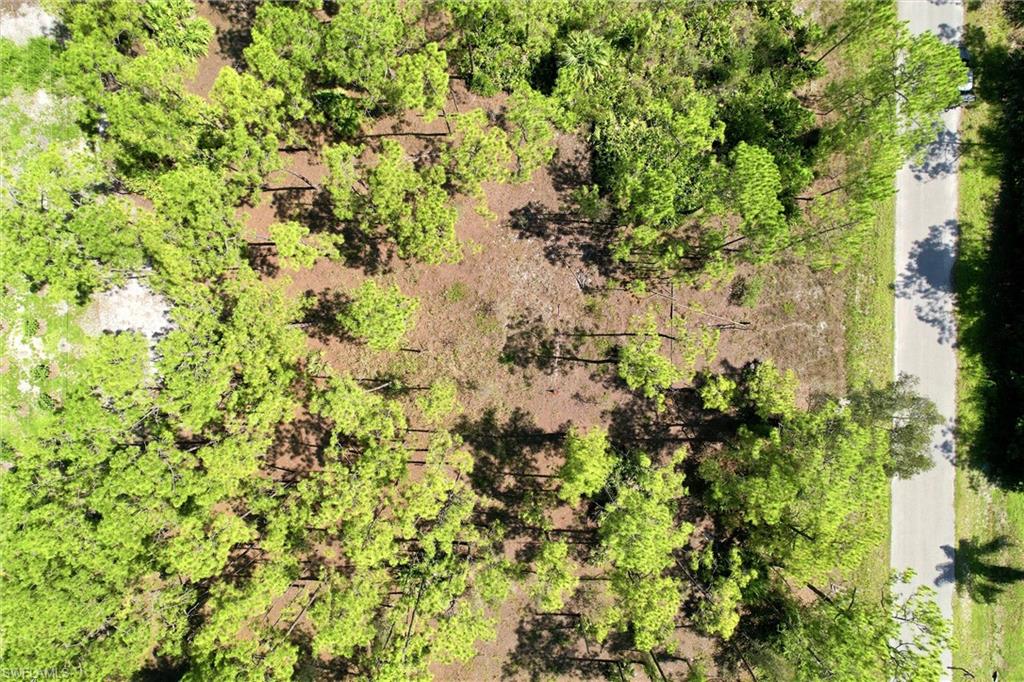 LEHIGH ACRES - Land
