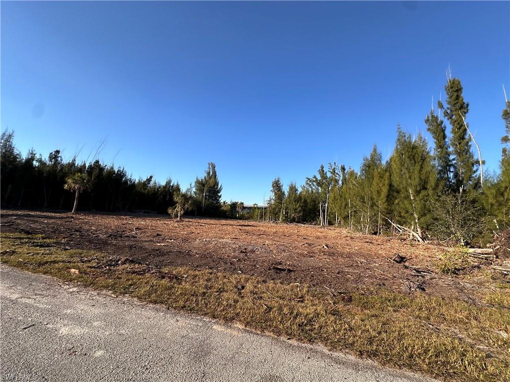 Searching for quick access to the Gulf of Mexico, Lee County Outer Islands, but don't want to pay the additional money to own a waterfront lot?  Here is your answer:  Pine Island has many boat ramps, close to shopping, restaurants, and plenty of peace and tranquility, native birds and plants.  Tropical Homesites is a lovely St. James City neighborhood with paved roads, and a Lee County Park at the end of Tropical Point Dr. where anyone can launch kayaks, canoes, paddleboards to enjoy the beautiful calm waters of Matlacha Pass, or just put a chair in the water and enjoy a wonderful day.  This almost one-third acre vacant lot was recently cleared and ready for you to build your dream home with no restrictions or HOA.  The adjoining lot is also available for $39,900, MLS #2025022459.