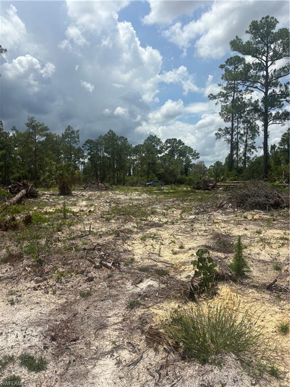 LEHIGH ACRES - Land