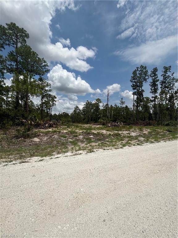 LEHIGH ACRES - Land