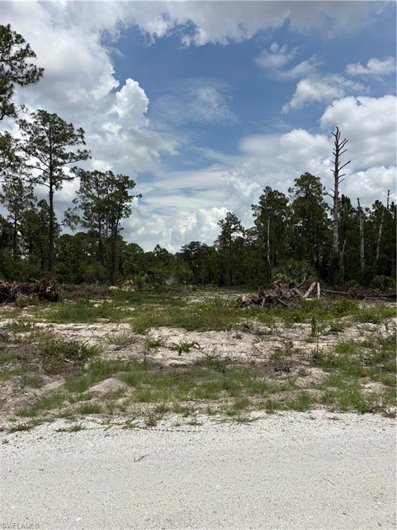 LEHIGH ACRES - Land