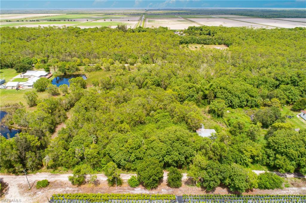 ACREAGE - Residential