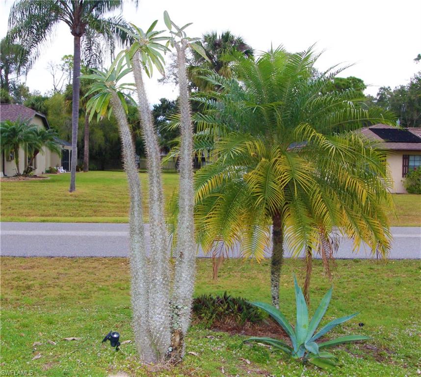 PORT CHARLOTTE - Residential