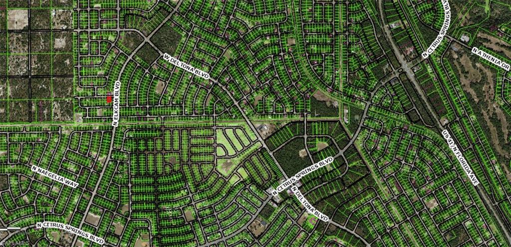 CITRUS SPRINGS - Land