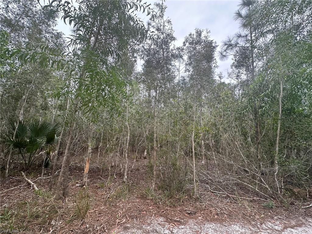 NORTH FORT MYERS - Land