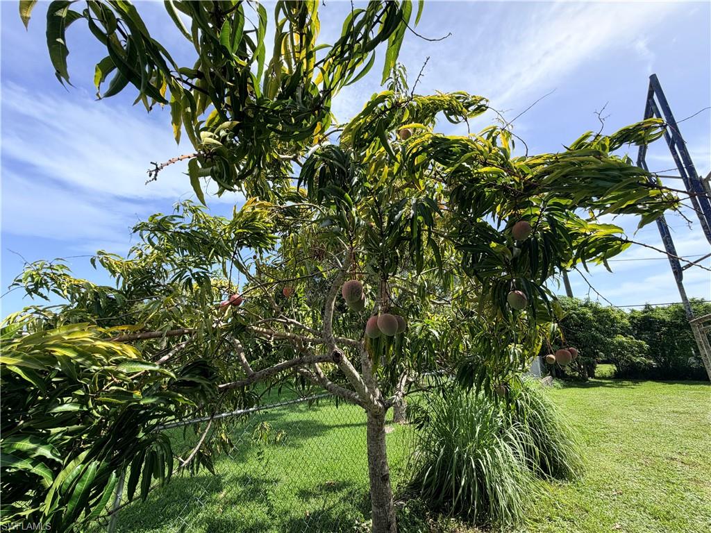 TRAIL ACRES - Residential