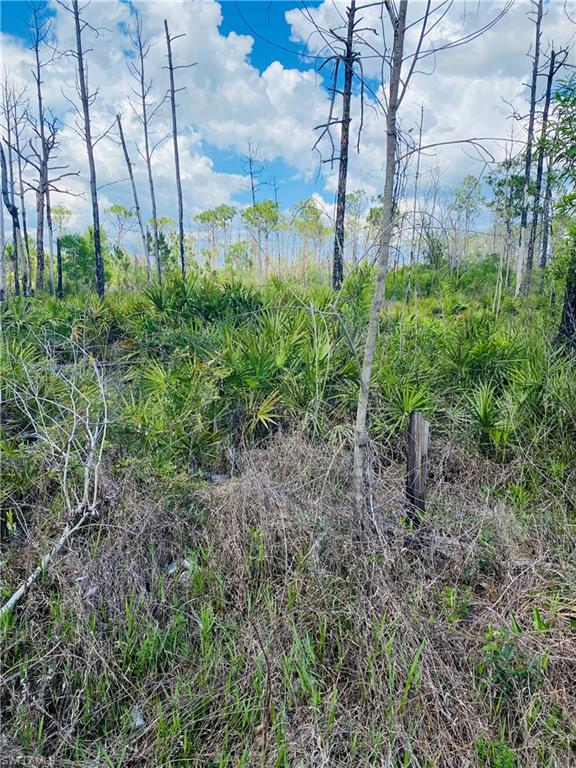 ACREAGE HEADER - Land