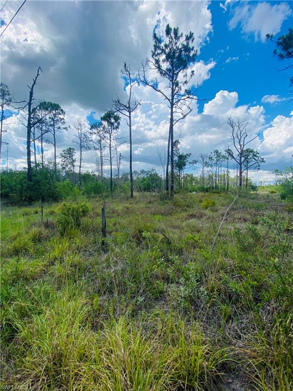 Two adjacent parcels in Naples for a total of 9.08 acres. Backs into a citrus farm. Very private, school bus pickup for children  at bottom of Friendship Lane and Immokalee Rd. Zoned for Mobile Homes. There was a Mobile Home on site previously but was lost due to fire. Very private with lots of wildlife. No special permit from DEP, etc. before so it is ready for a new mobile home or you can apply to have it rezoned to Single Family Home. 
Property is actually on Angela Lane. Roads were previously called Friendship Lane as they are private roads. Eastbound on Immokalee Rd. Turn Left (North) on Friendship Lane and drive till you reach Angela Lane. Turn Left property is on the right. Signs with arrows will help you find your way.