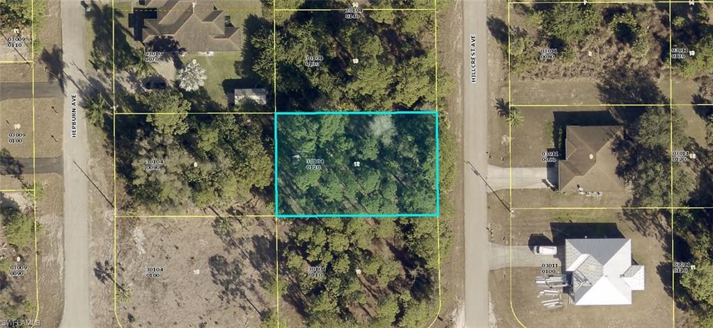 LEHIGH ACRES - Land