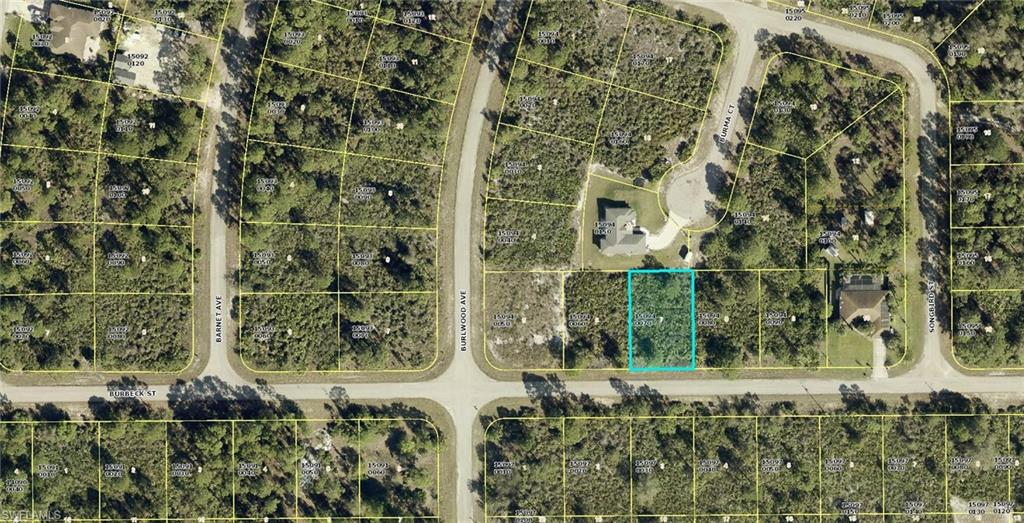 This great lot is located just south of Hwy 82 with easy access to Fort Myers and Punta Gorda airports, two spring training facilities and beaches! This area has several new construction homes in various stages of being built, making it the perfect place for your dream home!