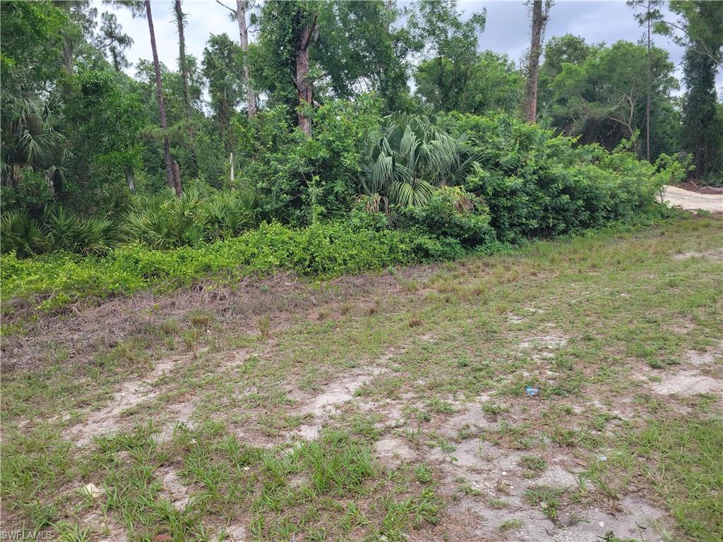 LEHIGH ACRES - Land