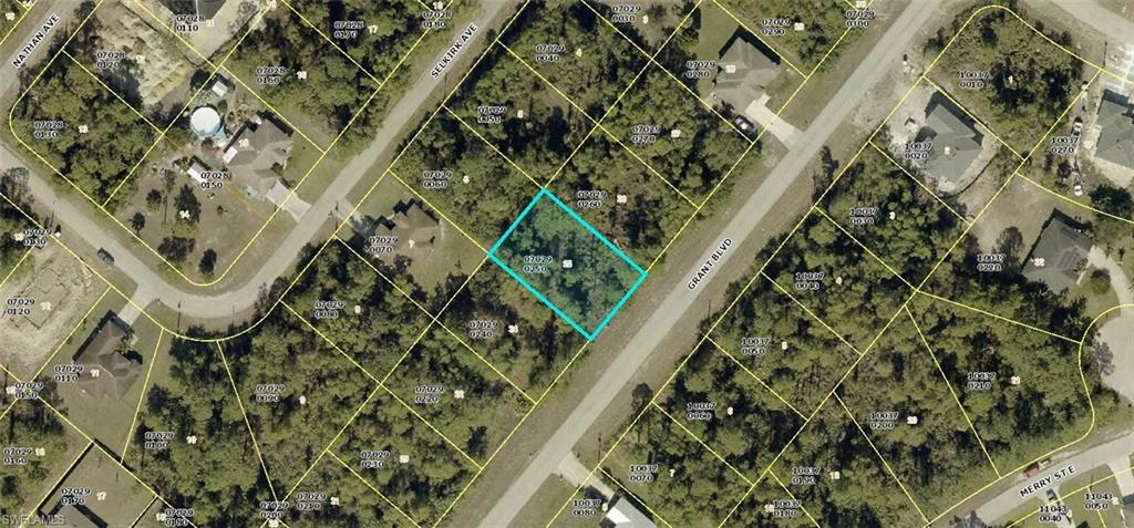 Investor Alert & Future Homesite! Own a beautiful quarter-acre lot on Grant Blvd, perfectly positioned in a quiet, sparsely populated neighborhood that is primed for future growth. Enjoy the peace, privacy, and low traffic of an up-and-coming area today, while securing an excellent long-term investment. This location offers the best of both worlds: Grant Boulevard directly intersects a major feeder streets, giving you quick, seamless access to central Lehigh Acres or a direct commute to Route 82. Don't miss out on a great piece of Florida land before the area fully develops!