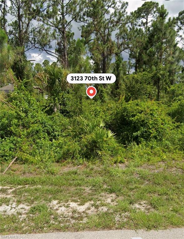 LEHIGH ACRES - Land