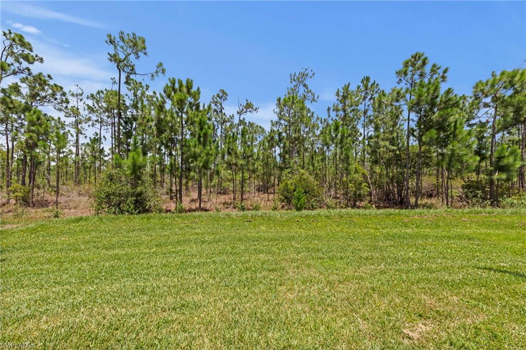 MAGNOLIA LANDING - Residential