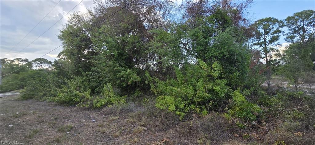 LEHIGH ACRES - Land