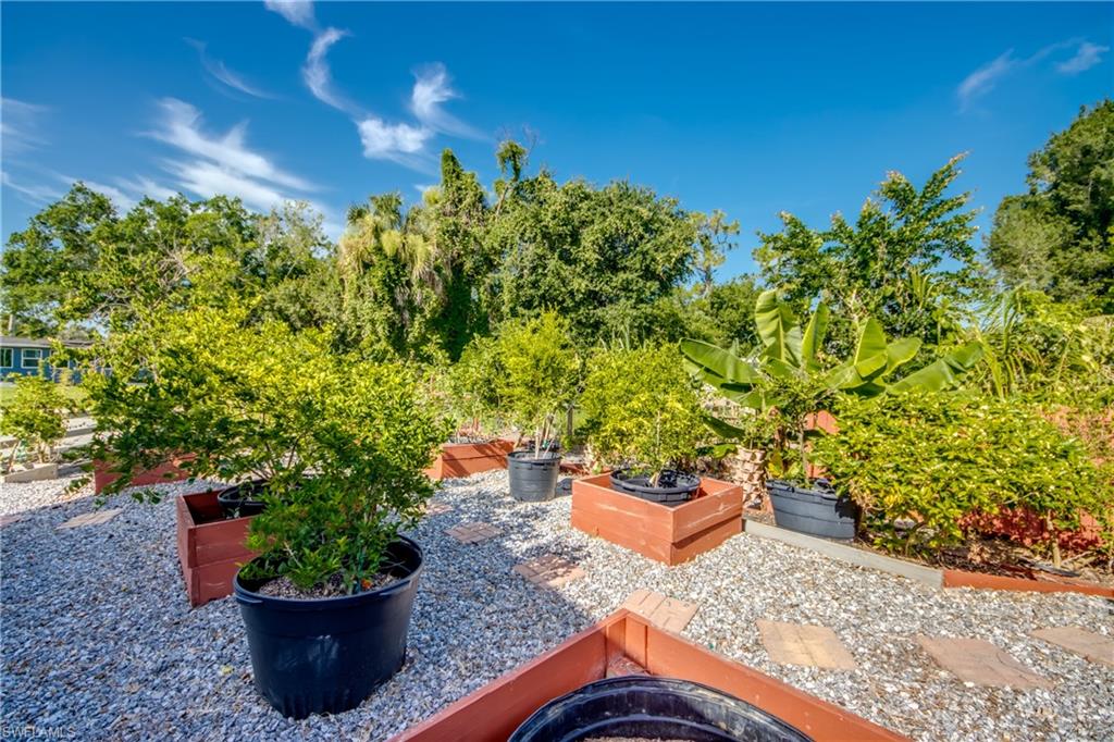 PALMONA PARK - Residential