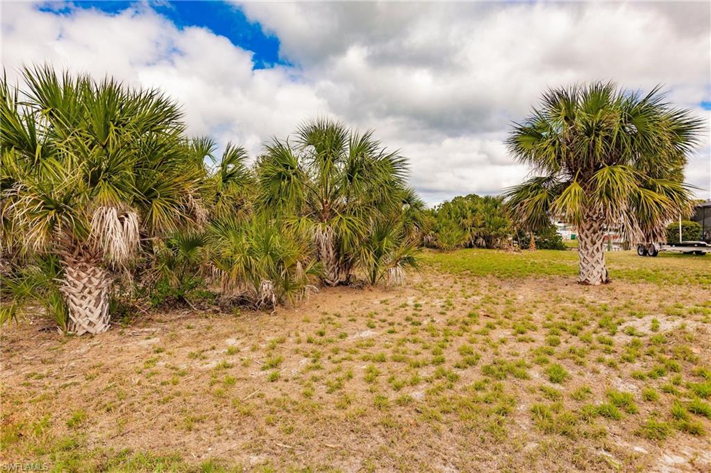 PORT CHARLOTTE - Land