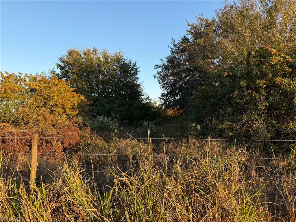 GERBER GROVES SEC 1 - Land
