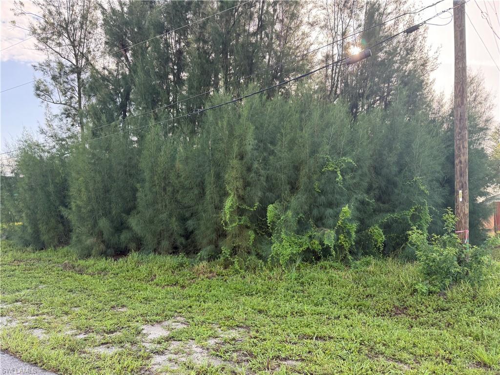 CAPE CORAL - Land