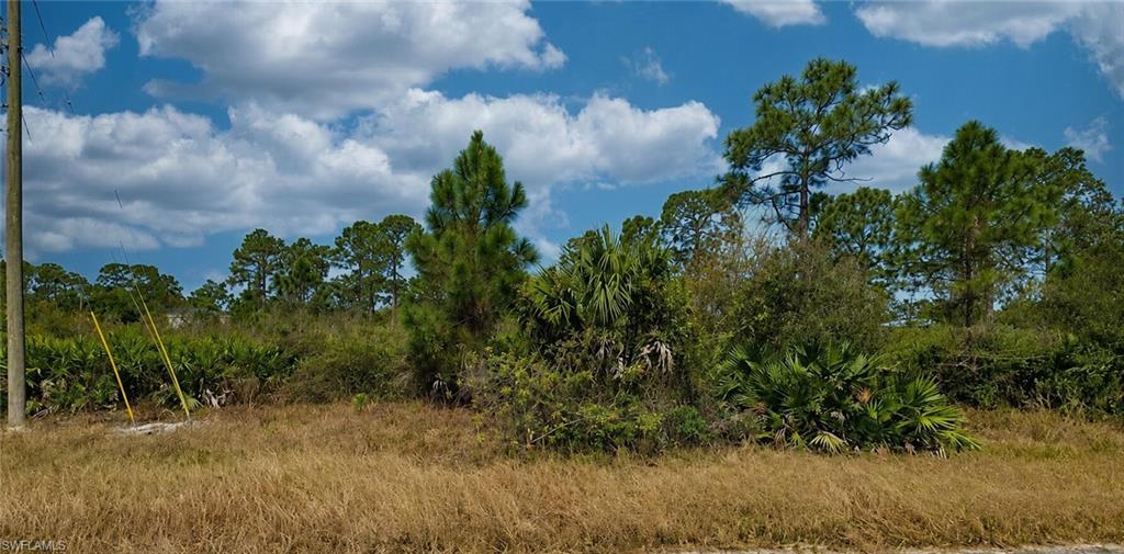Build the home you've always envisioned on this residential vacant lot located in the growing area of Fort Myers! Situated at 1262 Burbeck Street, this property offers a fantastic opportunity for homeowners, investors, or builders looking to secure land in one of Southwest Florida's most desirable and expanding markets.

Enjoy the freedom to design and build a home that fits your lifestyle while benefiting from convenient access to shopping, dining, schools, parks, entertainment, and major roadways. The location provides easy access to Fort Myers, Lehigh Acres, and Southwest Florida's beautiful beaches, making it an ideal place to call home or hold as a long-term investment.

Whether you're planning to build now or invest for the future, this residential lot offers endless potential in an area experiencing continued growth and development. Don't miss the opportunity to own a piece of Southwest Florida and bring your vision to life.