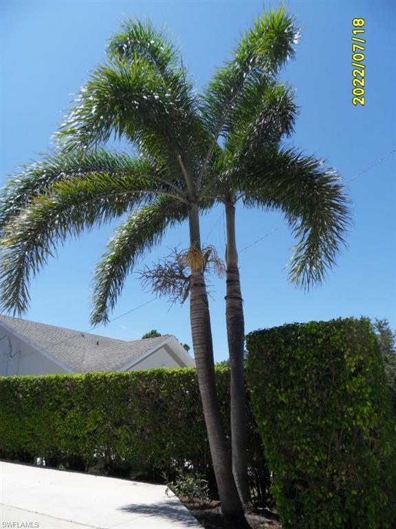 SAN CARLOS PARK - Residential