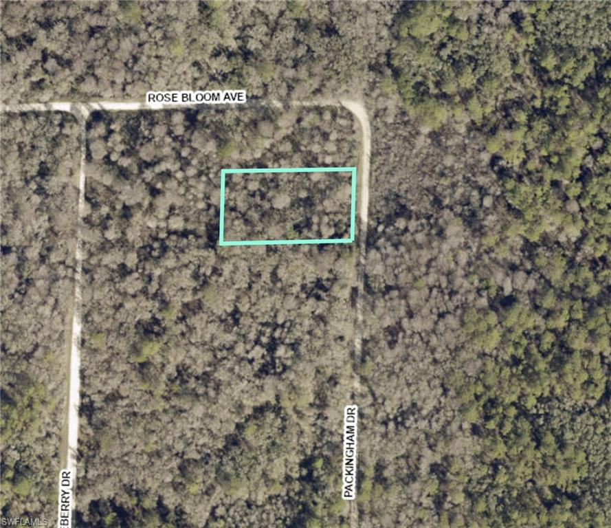 nature lovers and outdoor enthusiasts-- new construction is popping up, but the neighborhood is still mostly wooded.  No HOA. Need more land? The adjoining 1 acre corner lot is also for sale. All kinds of Florida wildlife abounds in the area, especially native and migratory birds. And, the community is surrounded by some of the state's best wildlife areas. Right down the street is Withlacoochee State Forest with miles of hiking/horseback/biking trails. Silver Lake Recreation Area, Richloam Wildlife area, and Green Swamp West wildlife areas are just minutes away by car. Short drive to Interstate 75; Tampa, Orlando and Florida's gorgeous beaches are all within an hour drive. Don't miss the opportunity to own your own piece of paradise.