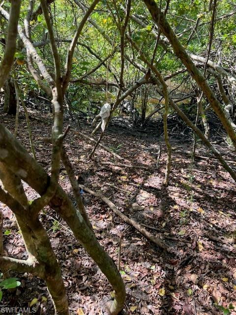 PLANTATION ISLAND - Land