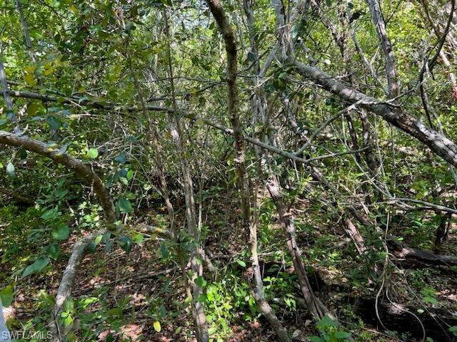 PLANTATION ISLAND - Land