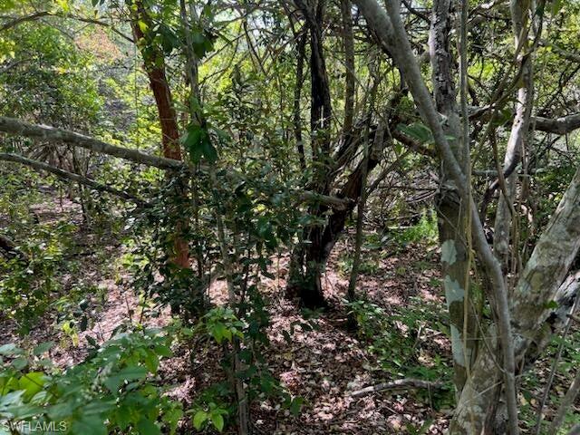PLANTATION ISLAND - Land