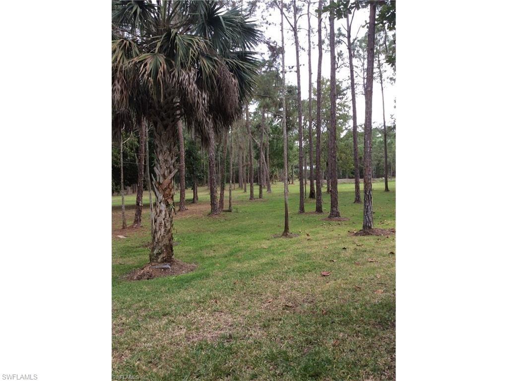 LOGAN WOODS - Land