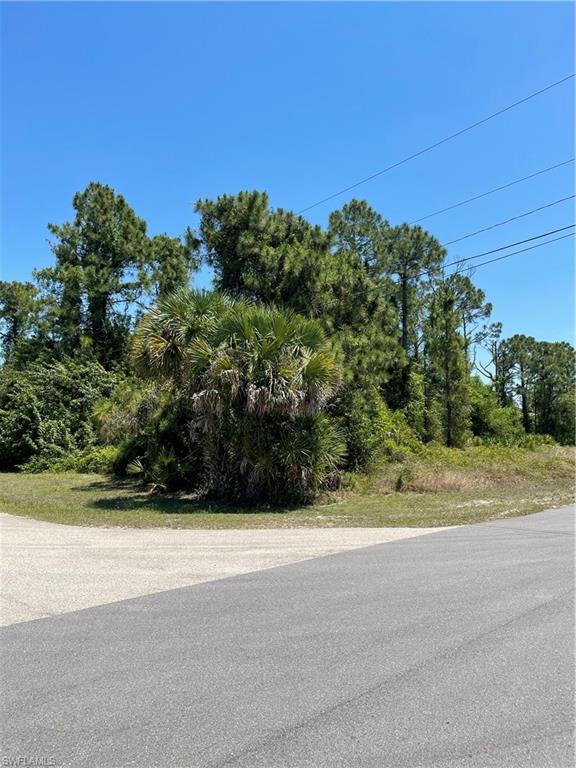 THE FASTEST GROWING CITY IN FLORIDA . LOOK AT THIS FABULOUS RESIDENTIAL LOT FOR SALE. WONDERFULLY LOCATED CLOSE TO STORES, SCHOOLS AND RSW AIRPORT.  THINK OF THE FUTURE AND THE VALUE THIS PIECE OF LAND HAS .....