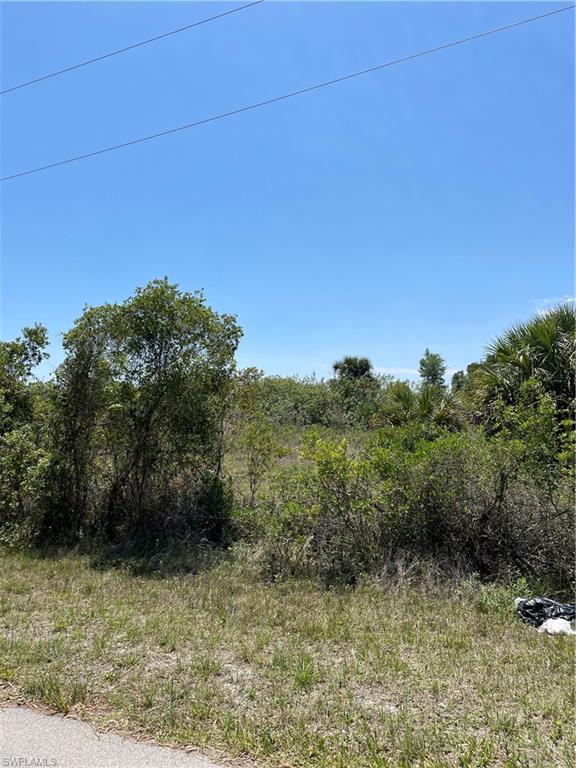 LEHIGH ACRES - Land