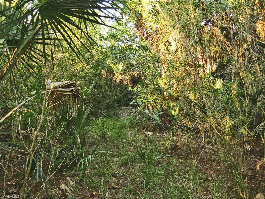 DINKINS BAYOU - Land