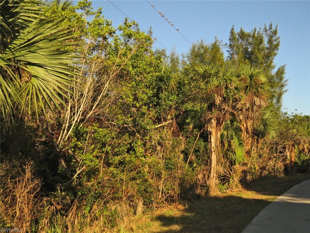 DINKINS BAYOU - Land